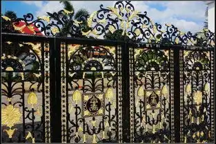 需要漂亮的大铁门,给我发图片,