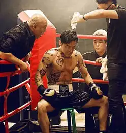 胡歌纹身引吐槽粉丝舔屏胡歌霍建华胡霍cp花式虐狗