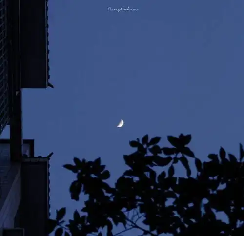 温柔表达晚安的小句子