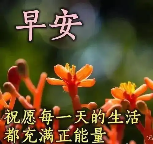 最新最漂亮的早上好祝福语图片清晨早上好问候语阳光句子