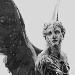 vickylee佳琪7的微博微博