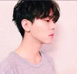 男生的那种和齐刘海类似,但有层次感的是什么发型