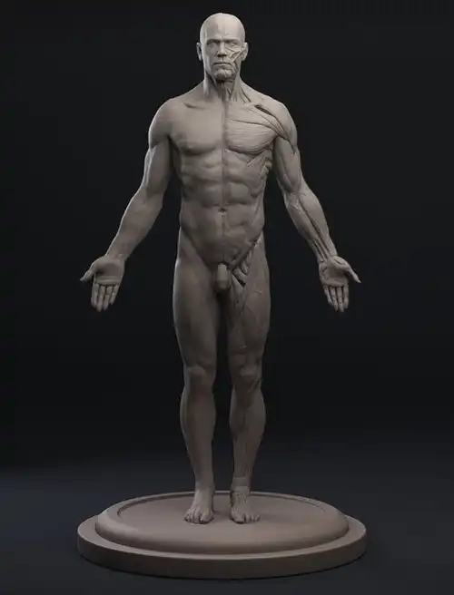 完美男人体结构cg素描绘画参考人体图片