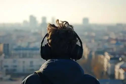 戴耳机的潮酷年轻人背影摄影图下载至来源处