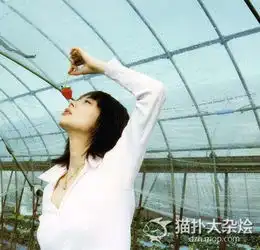 泣血讲述中国校花外嫁日本男人的悲惨经历