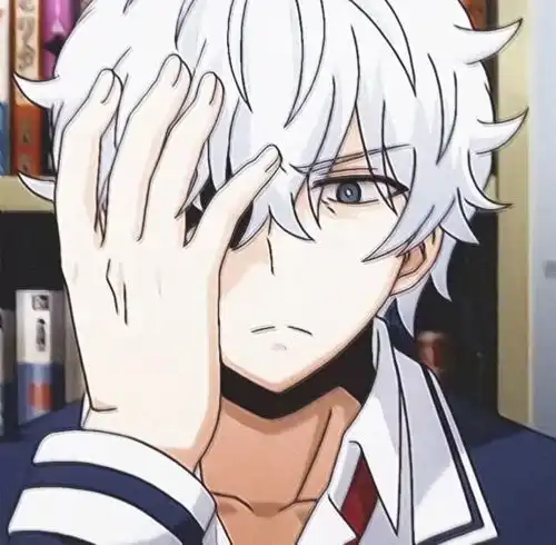 百星野王必备动漫男生头像