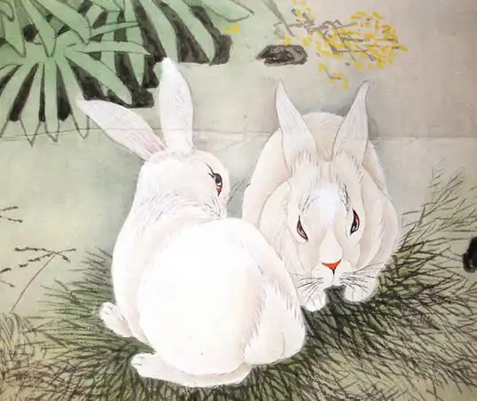 2018年生肖兔的整体运势