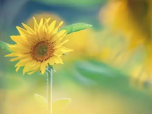 人生,离不开朋友生活,离不开亲情