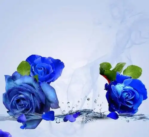 接好运5月运势极佳的3个生肖,升职加薪,收获意外财运