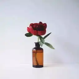 每日分享时间证明一切,一切自在人心