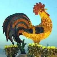 好看的招财旺财微信头像财运头像图片大全第2页潮人个性网