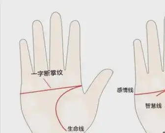 老话说男人断掌千金万两,女人断掌过房去养是啥意思