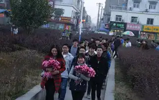 孔子为什么喜欢颜回