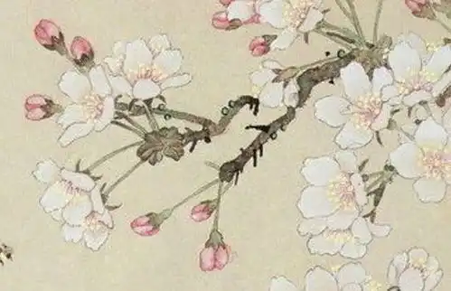 属牛女的上等婚配牛女与蛇男为上等婚配