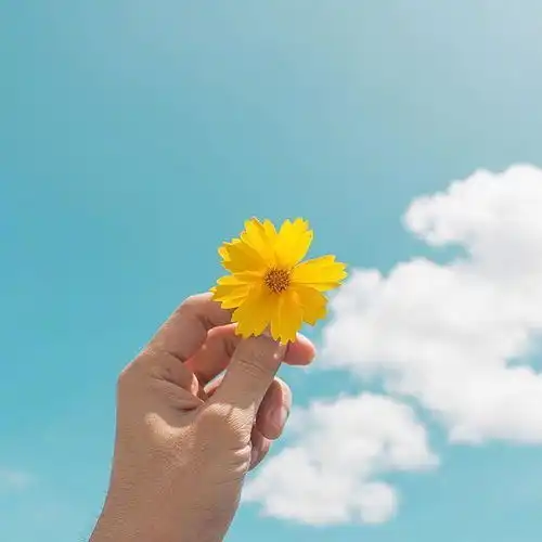 清新治愈的阳光文案,干净温暖走心的句子