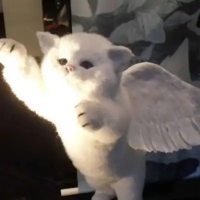 你会喜欢的猛男头像