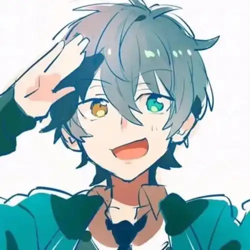 好看的头像流星的光芒虽短暂