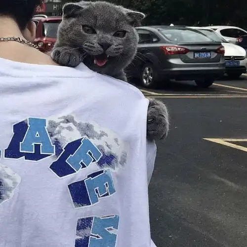 真人男生头像风吹百里,再无归期,情若络绎,茕茕孑立