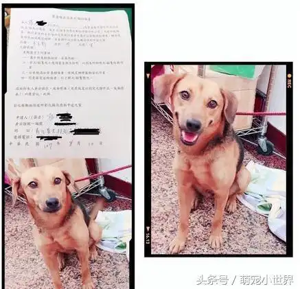 我去推车来带你黑帽男踏出门再没回来,灿笑小黄4天没出声