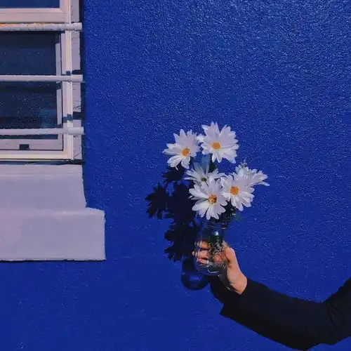 一批ins朋友圈封面