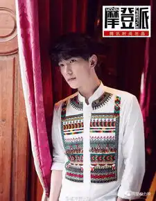 王俊凯蔡徐坤李易峰吴磊,男明星的花衬衫造型你们pick哪位