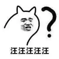 比起养猫养狗养男友还是养鹅吧毕竟养鹅防老