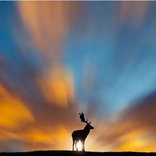 生活感悟的句子,送给自己