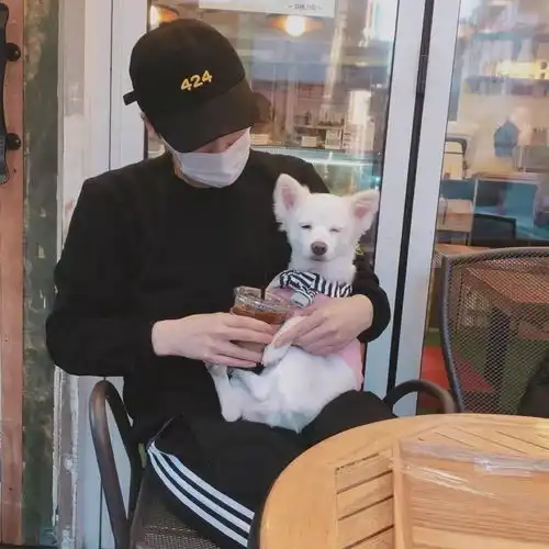 男生头像怕来者不是你