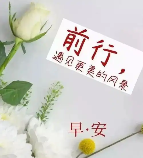 很经典的一句格言