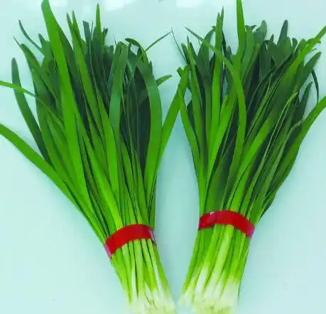 来自七夕直男礼物的暴击指数,女朋友真是愁skr人了