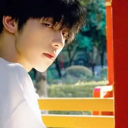 你不知道站在夕阳里的你就是我的一整个青春