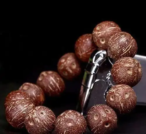 原来我们买的手串招财鼠,公园里就种了许多,秋天一到落满地