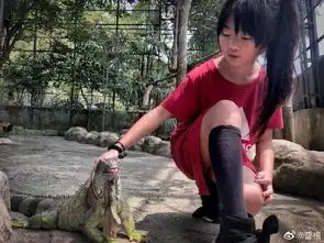 偶像剧男主天天初长成,曹格女儿grace成漫画少女