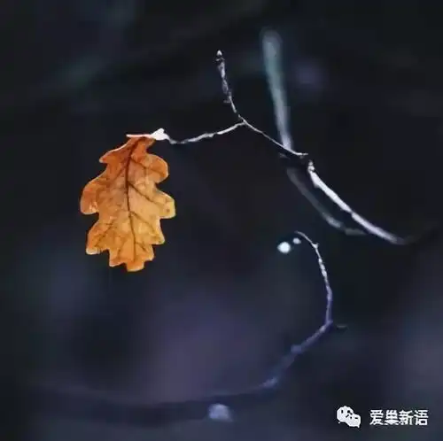 遇见只为了等你作者墨缘