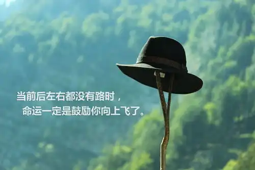 首都师范大学翻译硕士招生人数