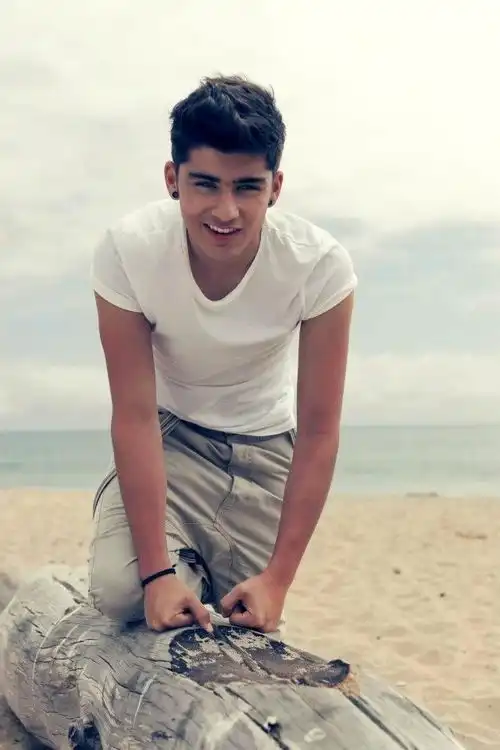 zaynmalik