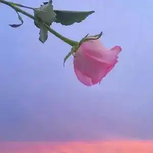 如果男生这么回答你他铁定喜欢你