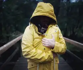 吾家有猫初长成kate的四季摄影作品