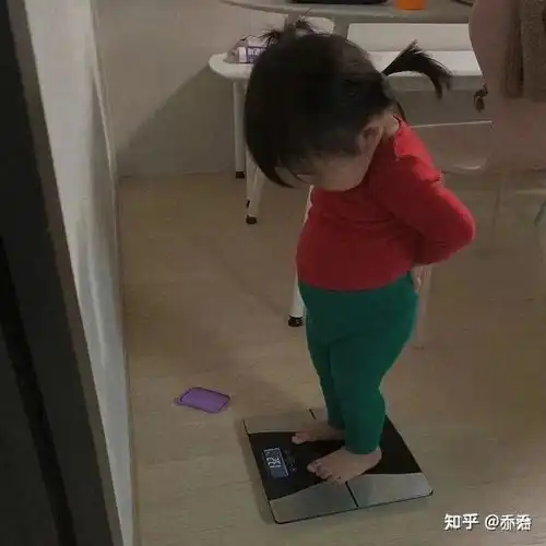 体脂秤选购指南体脂秤体重秤推荐2020年双十二哪款体脂秤最划算