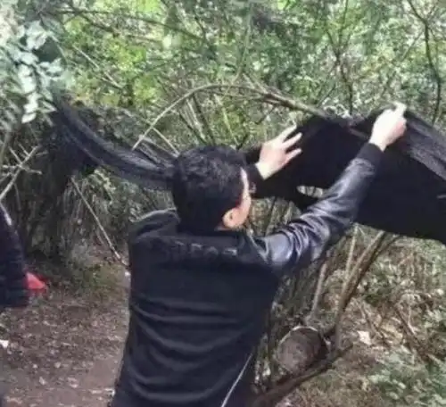 广西警方抓获卖淫团伙,树林里12男2女在非法交易,最大嫖客67岁