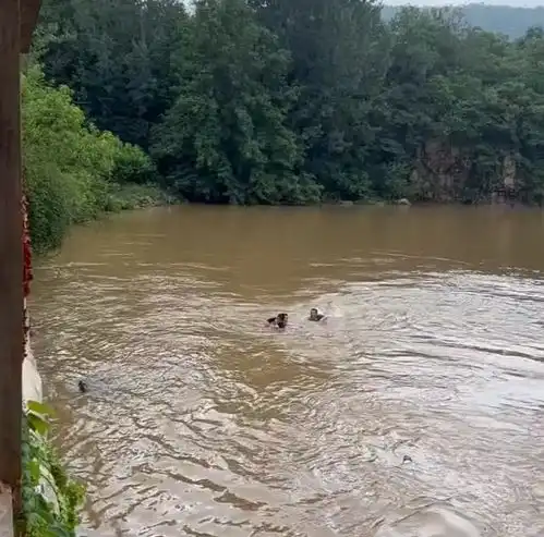 山东一男孩水库不慎落水,被急流越冲越远,三名男子跳下救人