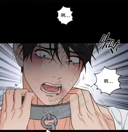 年下bl漫画囚笼之爱强势的压迫感背后一凉