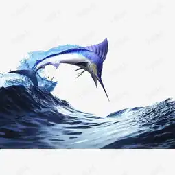 跃出海面的剑鱼素材图片免费下载高清png千库网图片编号8804255