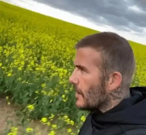 45岁贝克汉姆谢顶,威廉哈里集体脱发,英国男人为啥容易秃