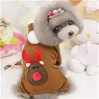 圣诞节汪星人搞笑个性头像大全过圣诞节的汪星人图片浏览