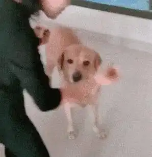 求求你们别什么图片都晒到朋友圈,大家看了都笑疯了哈哈哈