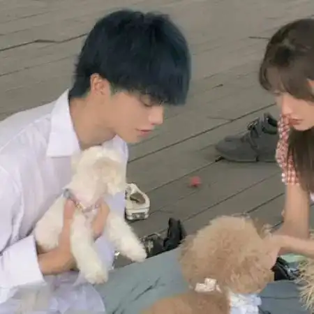 情侣头像唯美好看成熟情侣头像一男一女2021最新版第130期