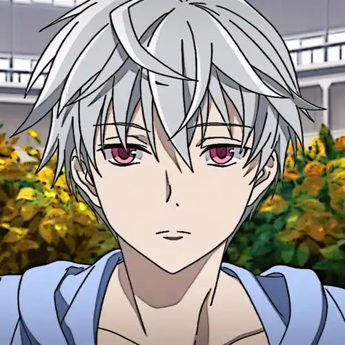 动漫男头未来日记