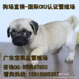 广州黄页88网