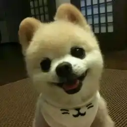 年薪几十万高学历夫妻,带着娃流落街头数月,他们经历了什么